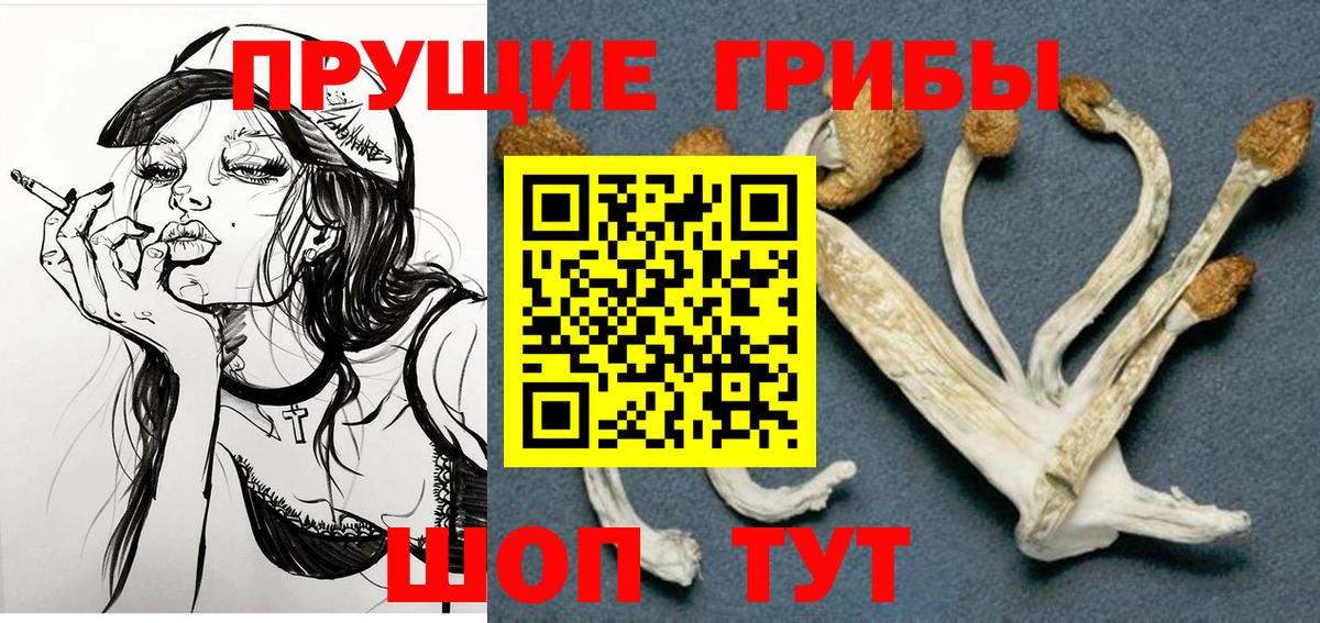 Псилоцибиновые грибы Psilocybe  Вход с VPN  Лобня 
